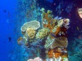 Shipwreck USS Liberty - Bali Indonesia Asia