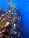 Shipwreck USS Liberty - Bali Indonesia Asia