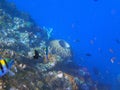 Shipwreck USS Liberty - Bali Indonesia Asia