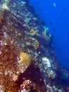 Shipwreck USS Liberty - Bali Indonesia Asia