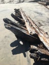 Shipwreck washed up on the beach Royalty Free Stock Photo