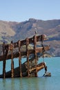 Shipwreck with White Face Heron Royalty Free Stock Photo