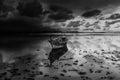 shipwrecked at beach black and white landscape