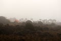 Shira camp on Machame route in fog Royalty Free Stock Photo