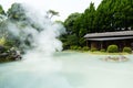 Shiraike Jigoku, hot springs in Japan