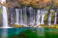 Shiraito Falls, Japan Royalty Free Stock Photo