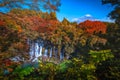 Shiraito Falls with Mt. Fuji and colorful autumn leaf in Fujinomiya, Shizuoka