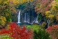 Shiraito waterfall in Autumn,Shizuoka, Japan Royalty Free Stock Photo