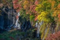 Shiraito waterfall in autumn season. Royalty Free Stock Photo