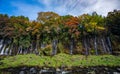 Shiraito waterfall in Autumn,Shizuoka, Japan Royalty Free Stock Photo