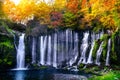 Autumn season at Shiraito waterfall in Japan. Royalty Free Stock Photo