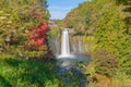 Shiraito waterfall. Maple leaves or fall foliage in autumn season near Fujikawaguchiko, Yamanashi. Colorful trees in Japan with Royalty Free Stock Photo