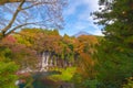 Shiraito waterfall. Maple leaves or fall foliage in autumn season near Fujikawaguchiko, Yamanashi. Colorful trees in Japan with Royalty Free Stock Photo