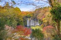 Shiraito waterfall. Maple leaves or fall foliage in autumn season near Fujikawaguchiko, Yamanashi. Colorful trees in Japan with Royalty Free Stock Photo