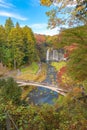 Shiraito waterfall. Maple leaves or fall foliage in autumn season near Fujikawaguchiko, Yamanashi. Colorful trees in Japan with Royalty Free Stock Photo