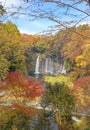 Shiraito waterfall. Maple leaves or fall foliage in autumn season near Fujikawaguchiko, Yamanashi. Colorful trees in Japan with Royalty Free Stock Photo