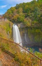 Shiraito waterfall. Maple leaves or fall foliage in autumn season near Fujikawaguchiko, Yamanashi. Colorful trees in Japan with Royalty Free Stock Photo