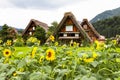 Shirakawa-go, Japan. Royalty Free Stock Photo