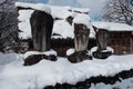 The Shirakawago village in winter , japan