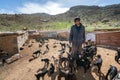 Shiraz, Iran - 04.10.2019: Iranian man standing in the midst of his baby goats in Iranian countryside. A day in the life