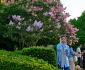 Iranian woman in Narenjestan Qavam house park.