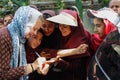 Shiraz, Iran - May 10, 2017: a large group of schools are relaxing in nature. Teenage girls from an Iranian school in school