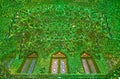 The intricate decoration of Imamzadeh Ali Ibn Hamzeh Holy Shrine