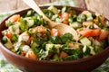 Shirazi salad of fresh vegetables and herbs close-up on a plate. horizontal Royalty Free Stock Photo