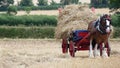 Shire Horse with Straw Wagon at Country Show Royalty Free Stock Photo