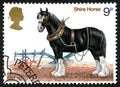Shire Horse UK Postage Stamp Royalty Free Stock Photo