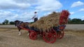 Shire Horse with a wagon of straw Royalty Free Stock Photo