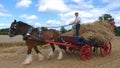 Shire Horse at a Working Day Country Show in England Royalty Free Stock Photo