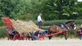 Shire Horse at a Working Day Country Show in England Royalty Free Stock Photo