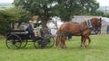 Shire Horses with carriage at a Country Show in the UK Royalty Free Stock Photo