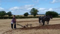 Shire Horses with plough at a Working Day Country Show in England Royalty Free Stock Photo