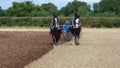 Shire Horses at a Working Day Country Show in England