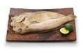 Shiro amadai wakasayaki, Japanese style grilled white tilefish Royalty Free Stock Photo