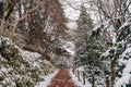 Shiroyama Park forest trekking road with winter snow in Takayama, Gifu, Japan Royalty Free Stock Photo
