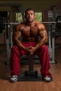 Shirtless bodybuilder resting at the bench Royalty Free Stock Photo