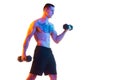 Shirtless young man with strong, fit, relief body training with dumbbells against white studio background in neon light Royalty Free Stock Photo