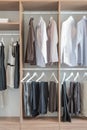 Shirts and pants hanging in wooden wardrobe