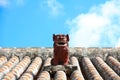 Traditional House in Okinawa with Shisa on the Roof Royalty Free Stock Photo