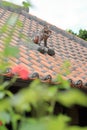 Shisa guardian from Kingdom of Ryukyu on the roof in Okinawa Royalty Free Stock Photo