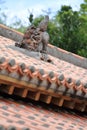 Shisa guardian from Kingdom of Ryukyu on the roof in Okinawa Royalty Free Stock Photo