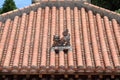 Shisa guardian from Kingdom of Ryukyu on the roof in Okinawa Royalty Free Stock Photo