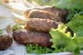Shish kabab lamb meat with vegetables Royalty Free Stock Photo