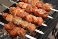 Shish kebab Royalty Free Stock Photo