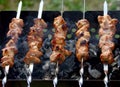 Shish kebab Royalty Free Stock Photo