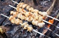 Shish kebab is baked over a fire with smoke. Camping