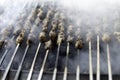 Shish Kebab and Barbecue, Delicious Grilled Meat Skewers. Royalty Free Stock Photo